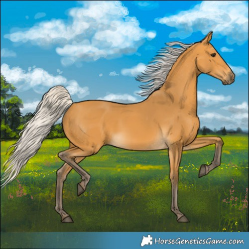 Horse Color:Silver Buckskin