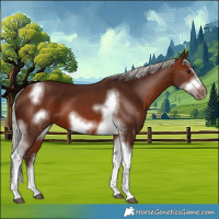 Horse Color:Silver Brown Sabino Tobiano Frame 