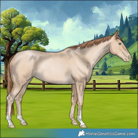 Horse Color:Smoky Blue Roan Pearl 