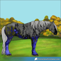 Horse Color:ERROR: UNKNOWN ANOMALY