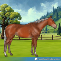 Horse Color:Silver Bay 