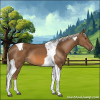 Horse Color:Chocolate Palomino Tobiano 