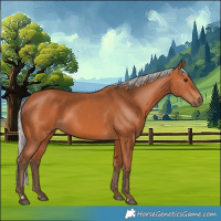 Horse Color:Silver Bay 