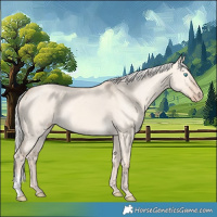 Horse Color:Silver Perlino Dun 