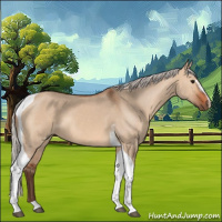 Horse Color:Silver Brown Dun Sabino Tobiano