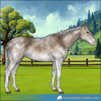 Horse Color:White Spotted Silver Smoky Black