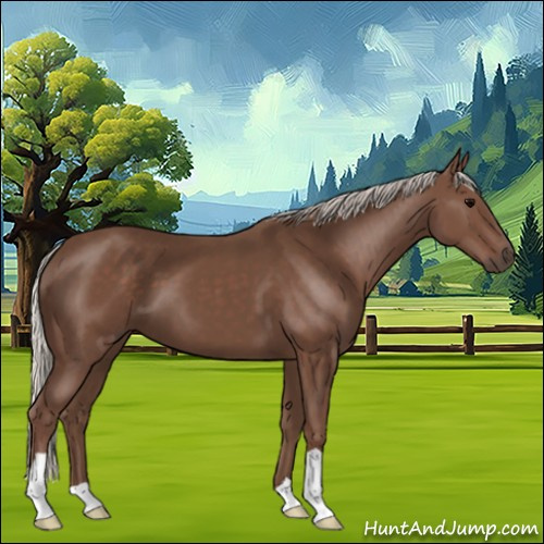 Horse Color:Silver Black