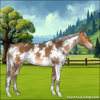 Horse Color:White Spotted Silver Buckskin 
