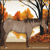 Horse Color:Liver Red Dun Rabicano 