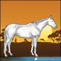 Horse Color:Gray Void Silver Black Splash Tobiano 