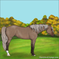 Horse Color:Silver Brown Roan Dun 