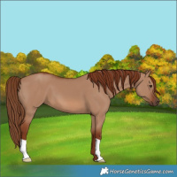 Horse Color:Red Dun
