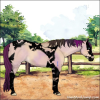 Horse Color:Void Sable Champagne Dun Splash Tobiano 