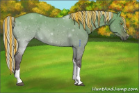 Horse Color:Painted Silver Brown Dun 