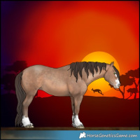 Horse Color:Amber Champagne 