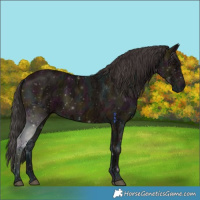 Horse Color:Midnight Bay Ice Mushroom 