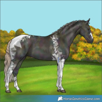 Horse Color:Midnight Chocolate Palomino Ice Onyx Tobiano