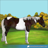 Horse Color:Midnight Silver Brown Tobiano 