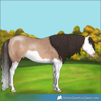Horse Color:Amber Champagne Splash 