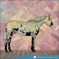 Horse Color:Watercolor Silver Buckskin Sabino 