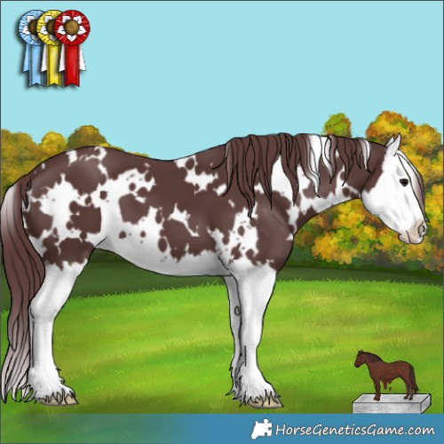 Horse Color:White Spotted Chocolate Black Splash 