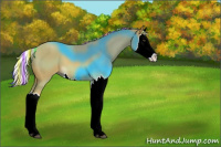 Horse Color:Painted Palomino Splash 