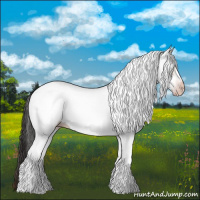 Horse Color:Gray White Spotted Sable Champagne 