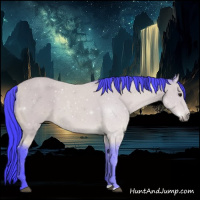 Horse Color:Watercolor Buckskin 