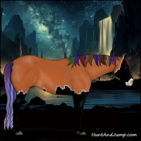 Horse Color:Painted Bay Splash 