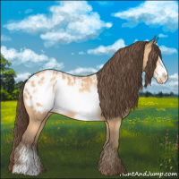 Horse Color:Amber Champagne Frame Blanket 