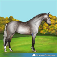 Horse Color:Gray Silver Brown 