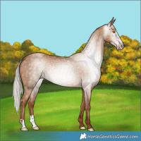 Horse Color:Gray Silver Classic Champagne 