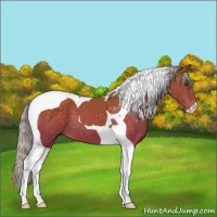 Horse Color:Silver Buckskin Tobiano 