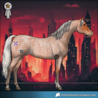Horse Color:Silver Bay Roan Tobiano 