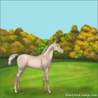 Horse Color:Silver Brown Pearl Dun Mushroom Sabino 