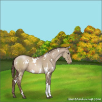 Horse Color:White Spotted Grullo Pearl 