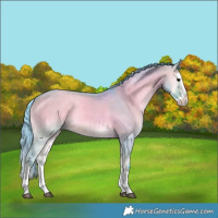 Horse Color:Watercolor Brown Onyx Splash Rabicano Brindle 
