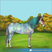 Horse Color:Nacre White Spotted Bay Onyx Rabicano 