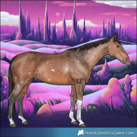 Horse Color:Bay Tobiano Rabicano