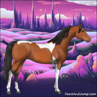 Horse Color:Bay Tobiano 