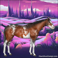 Horse Color:White Spotted Bay Splash Tobiano 