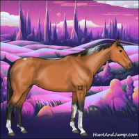 Horse Color:Bay Tobiano 