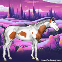 Horse Color:Bay Splash Tobiano 