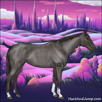 Horse Color:Smoky Blue Roan Tobiano 