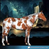 Horse Color:White Spotted Silver Bay 