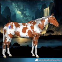 Horse Color:White Spotted Silver Bay 