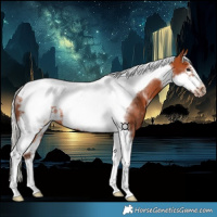 Horse Color:White Spotted Silver Bay Tobiano Frame Rabicano 