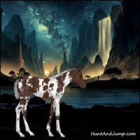 Horse Color:White Spotted Silver Brown 