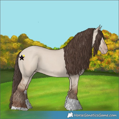 Horse Color:Classic Champagne Dun Tobiano 