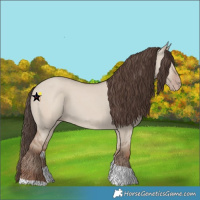 Horse Color:Classic Champagne Dun Tobiano 